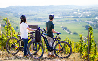 Partez pour une balade dans les vignobles