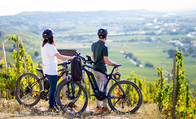 Partez pour une balade dans les vignobles